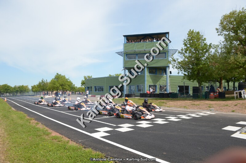 DSC_6524.jpg