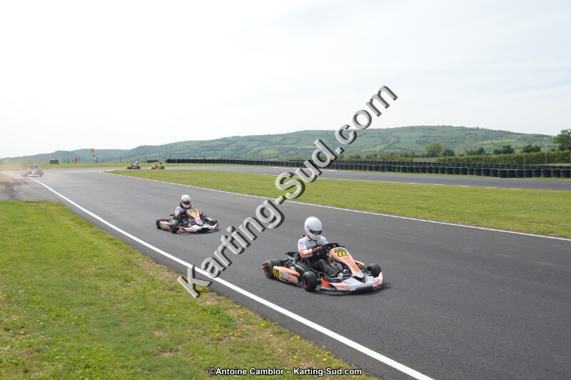 DSC_6527.jpg