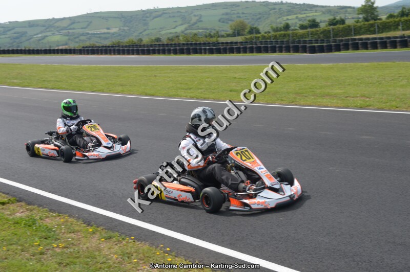 DSC_6528.jpg