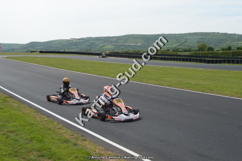 DSC_6559.jpg