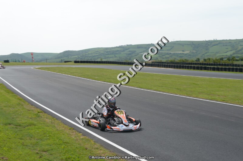 DSC_6560.jpg
