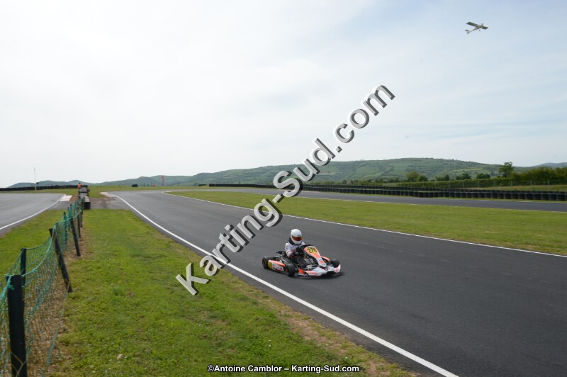 DSC_6561.jpg