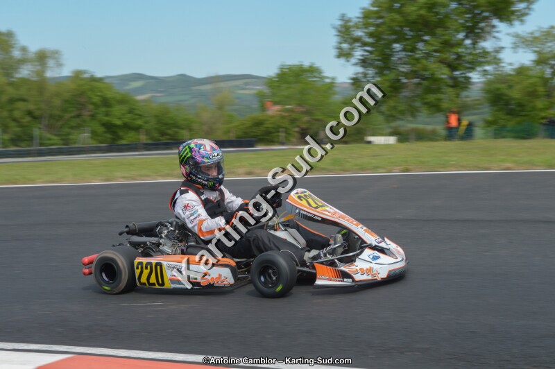 DSC_6596.jpg