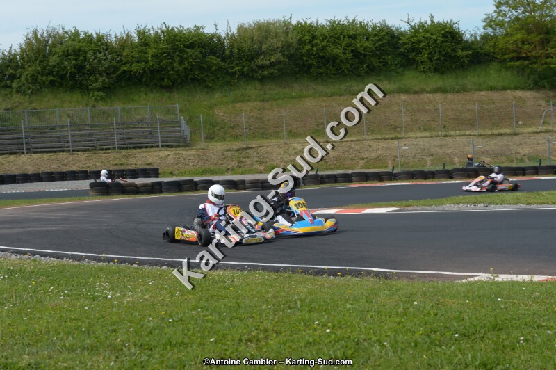 DSC_6601.jpg
