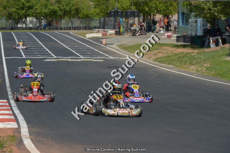 DSC_6733.jpg