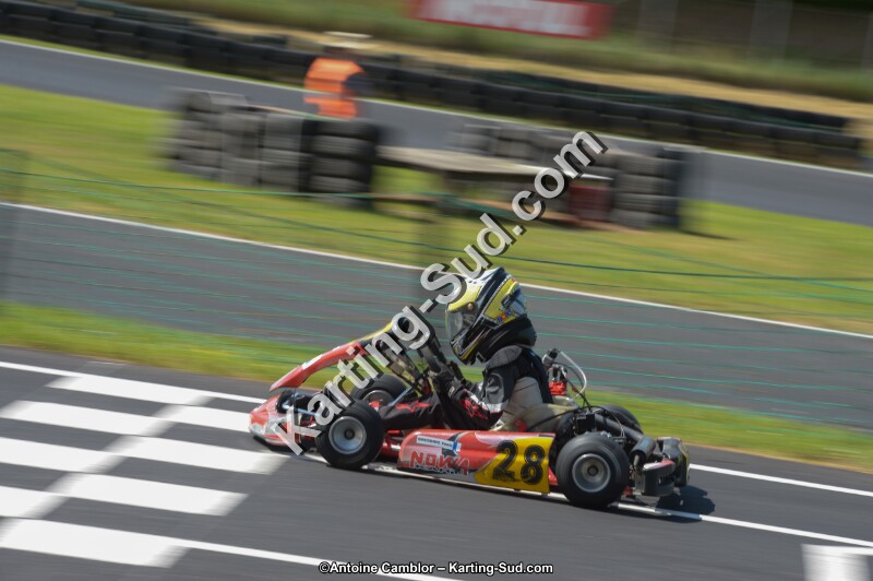 DSC_6767.jpg