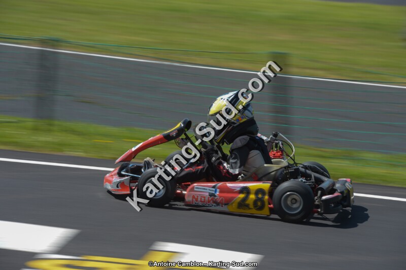 DSC_6786.jpg