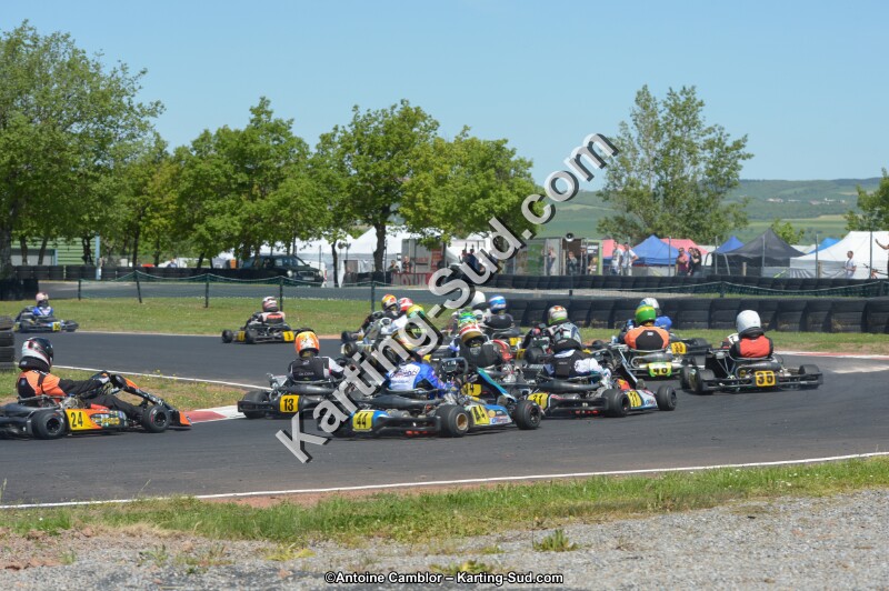 DSC_6817.jpg
