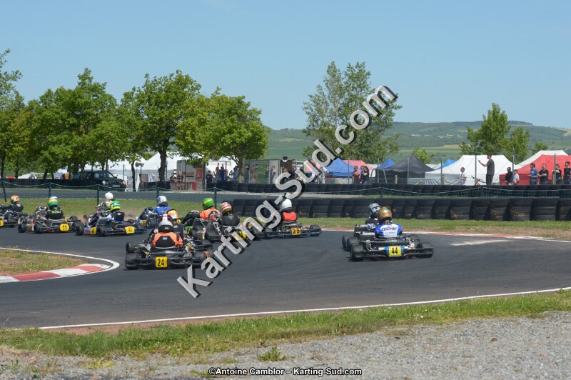 DSC_6818.jpg