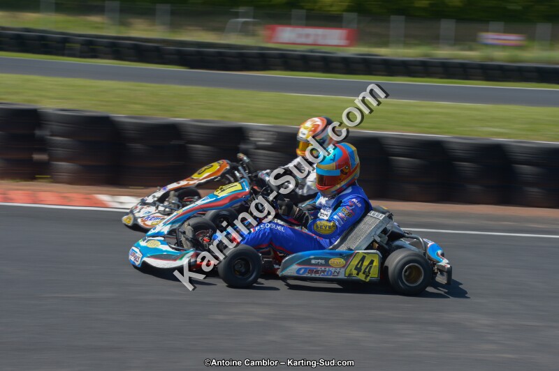 DSC_6856.jpg