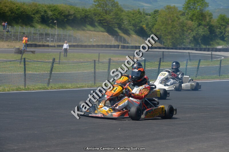 DSC_6976.jpg