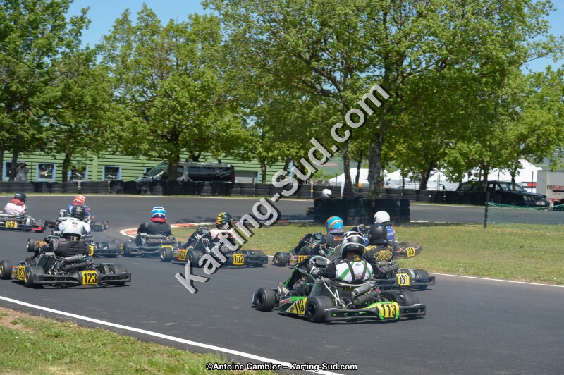 DSC_6981.jpg