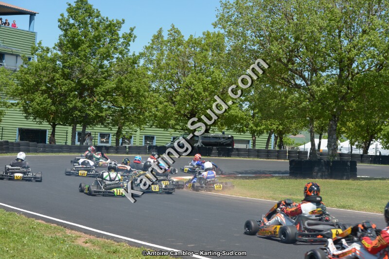 DSC_6982.jpg