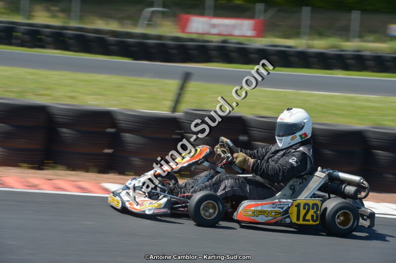 DSC_7003.jpg