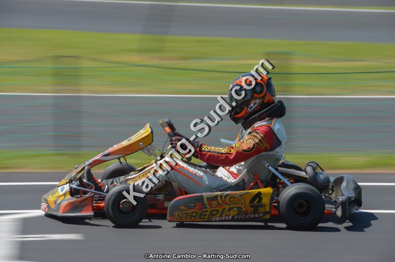 DSC_7037.jpg