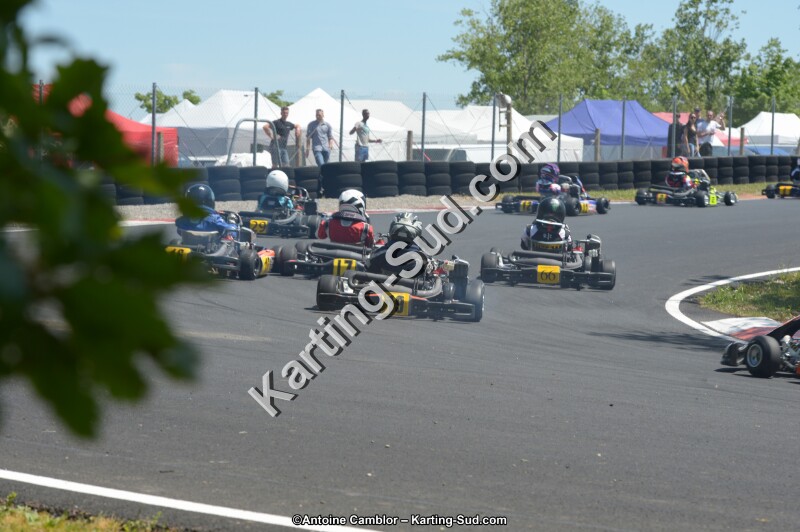 DSC_7079.jpg