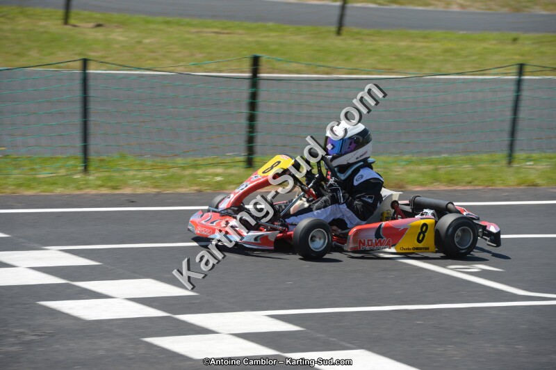 DSC_7081.jpg
