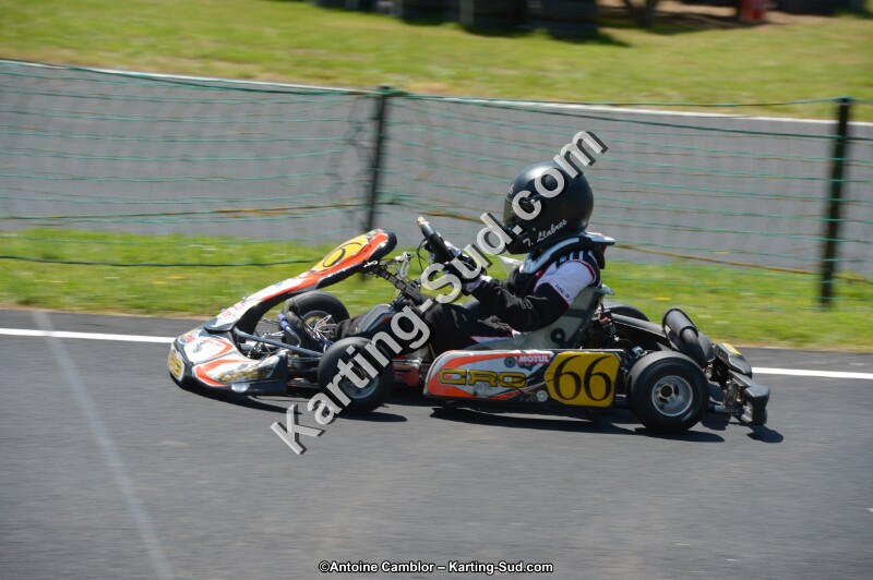 DSC_7083.jpg