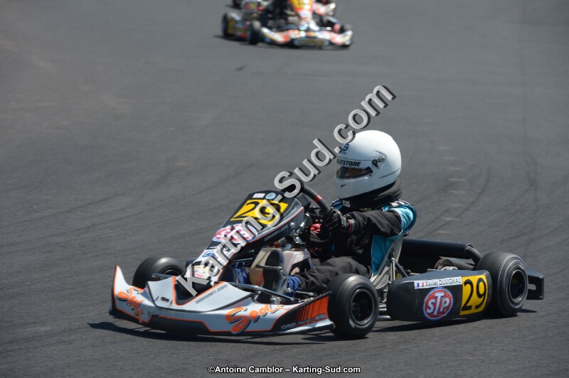 DSC_7086.jpg