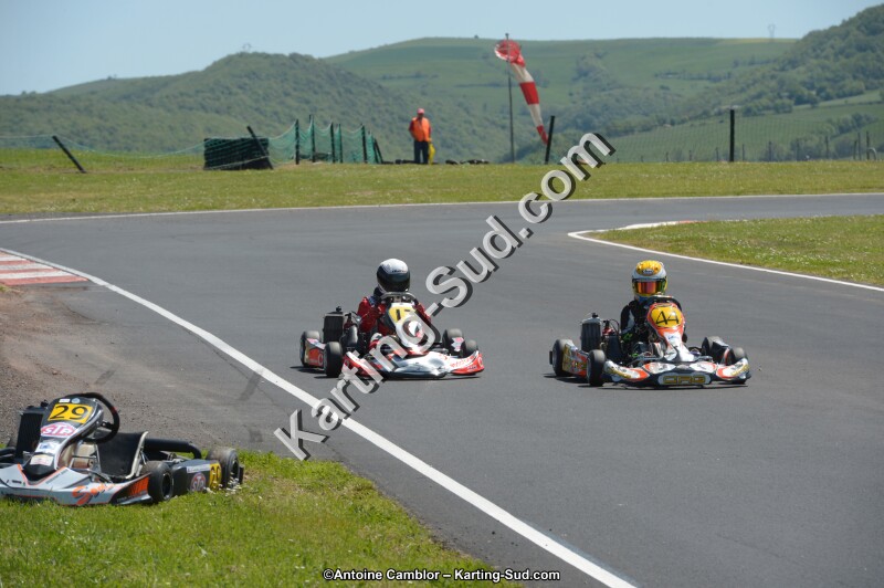 DSC_7100.jpg
