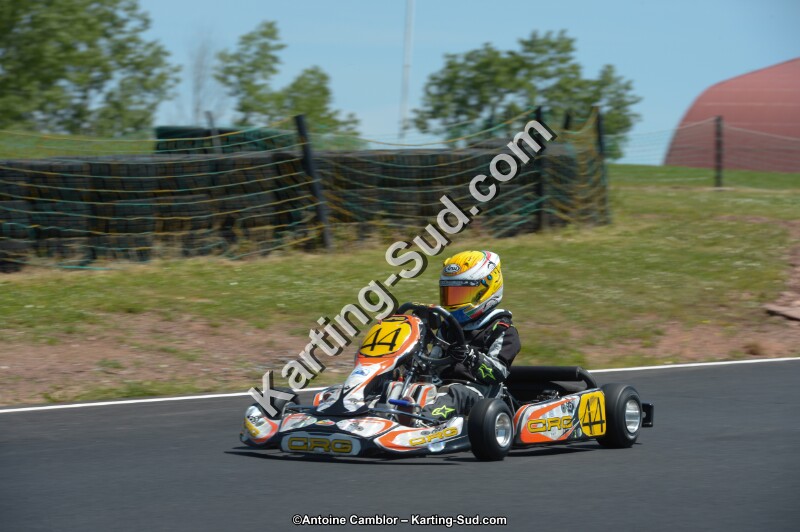 DSC_7141.jpg