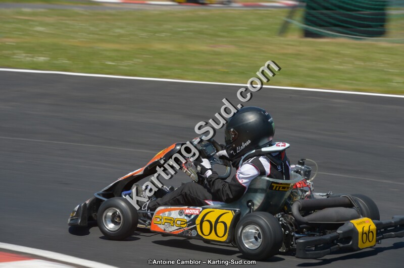 DSC_7177.jpg