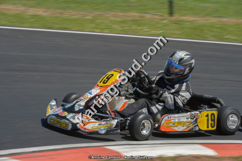 DSC_7184.jpg