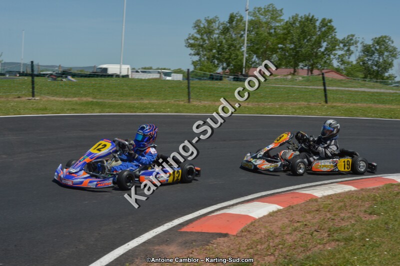 DSC_7194.jpg