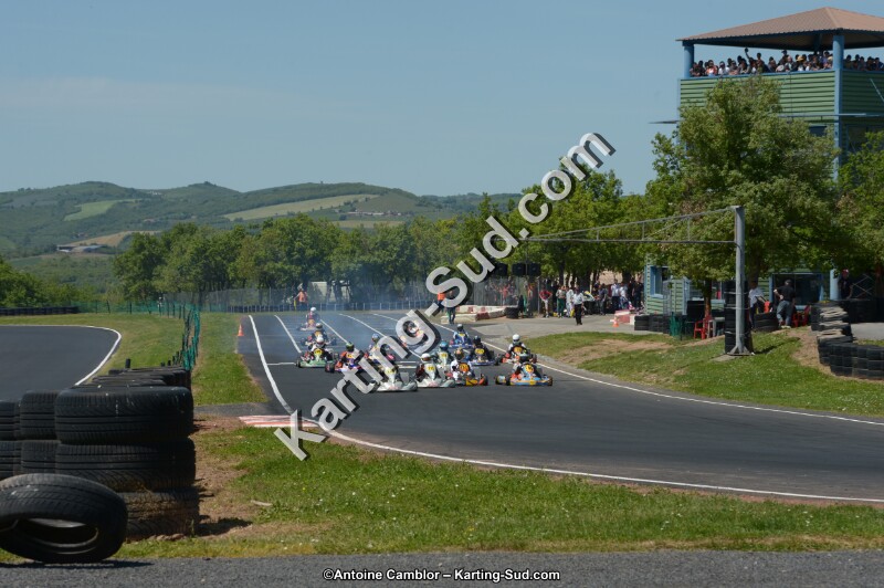 DSC_7234.jpg