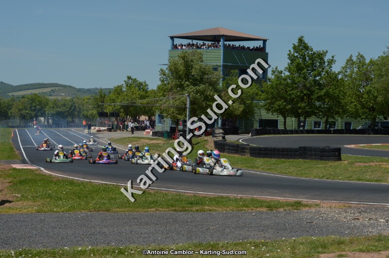 DSC_7235.jpg