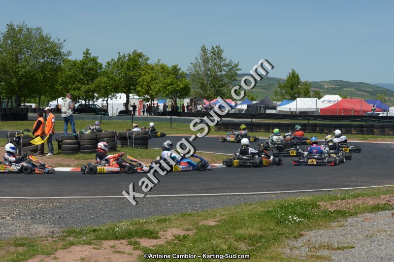 DSC_7237.jpg