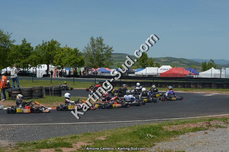DSC_7238.jpg