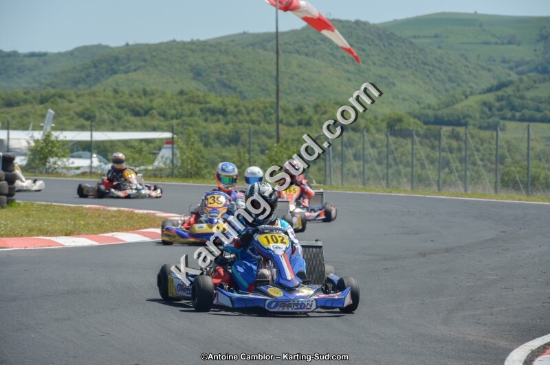 DSC_7246.jpg