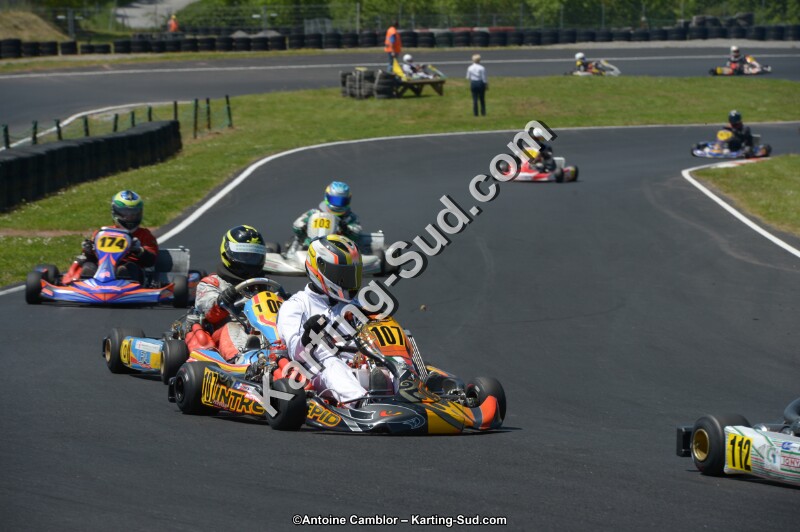 DSC_7250.jpg