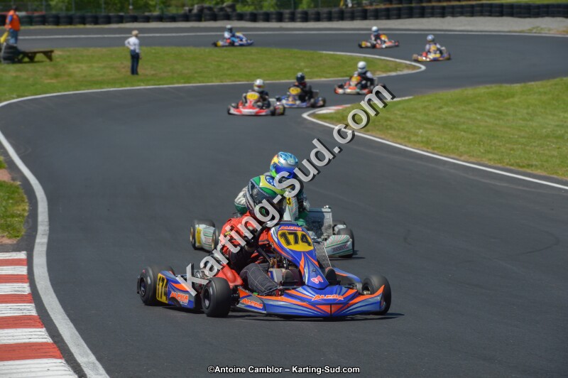 DSC_7264.jpg