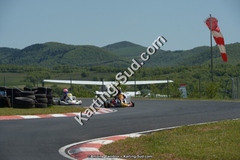 DSC_7270.jpg