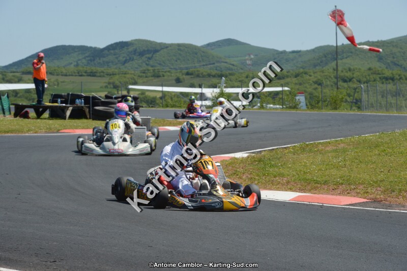 DSC_7271.jpg