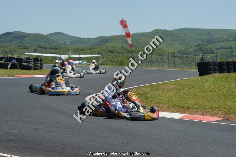 DSC_7291.jpg