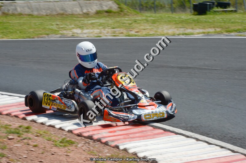 DSC_7310.jpg