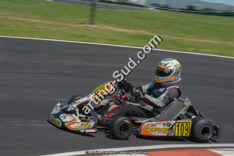 DSC_7320.jpg
