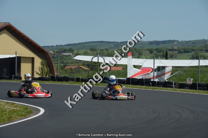 DSC_7332.jpg