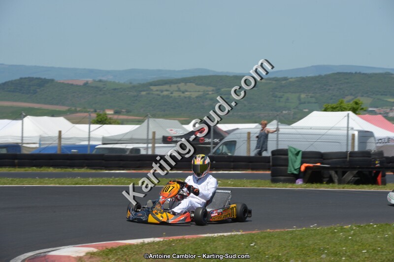 DSC_7399.jpg
