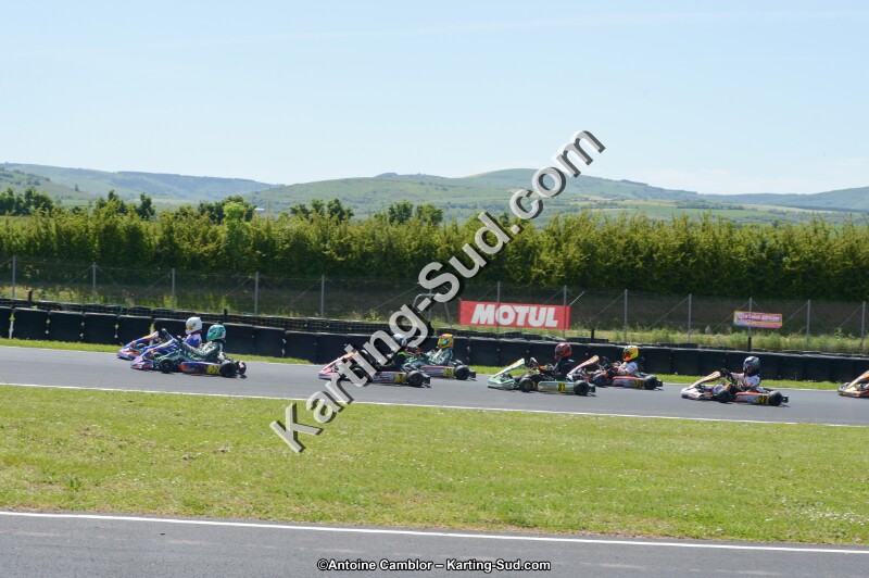 DSC_7405.jpg