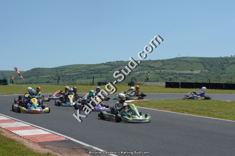 DSC_7407.jpg