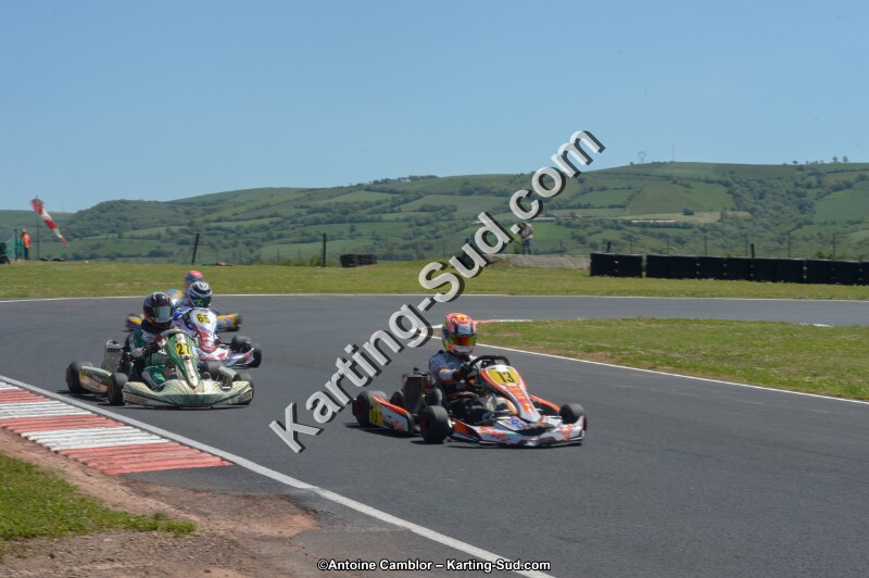 DSC_7411.jpg
