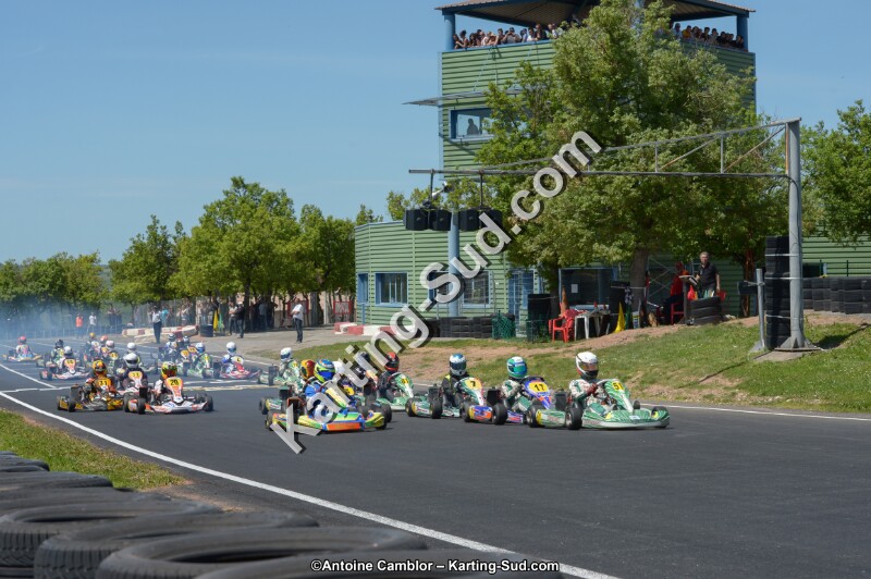 DSC_7417.jpg