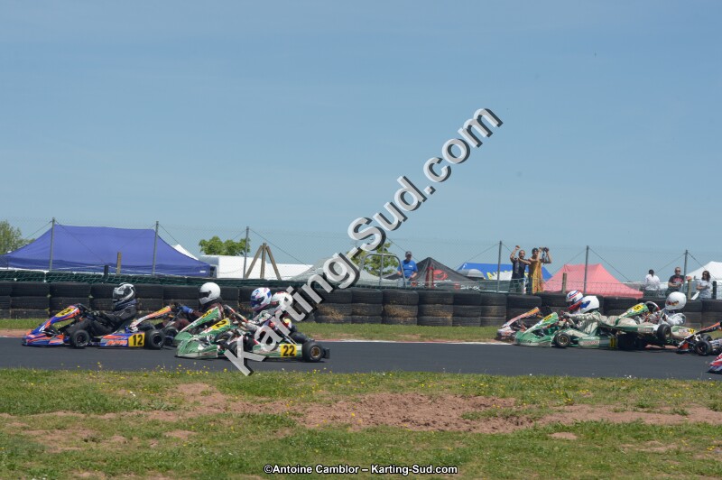 DSC_7423.jpg