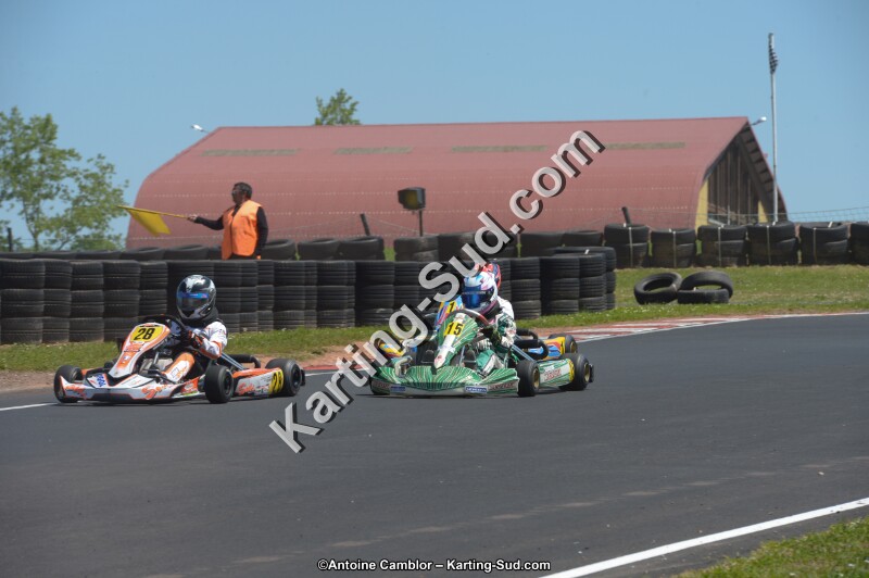 DSC_7442.jpg