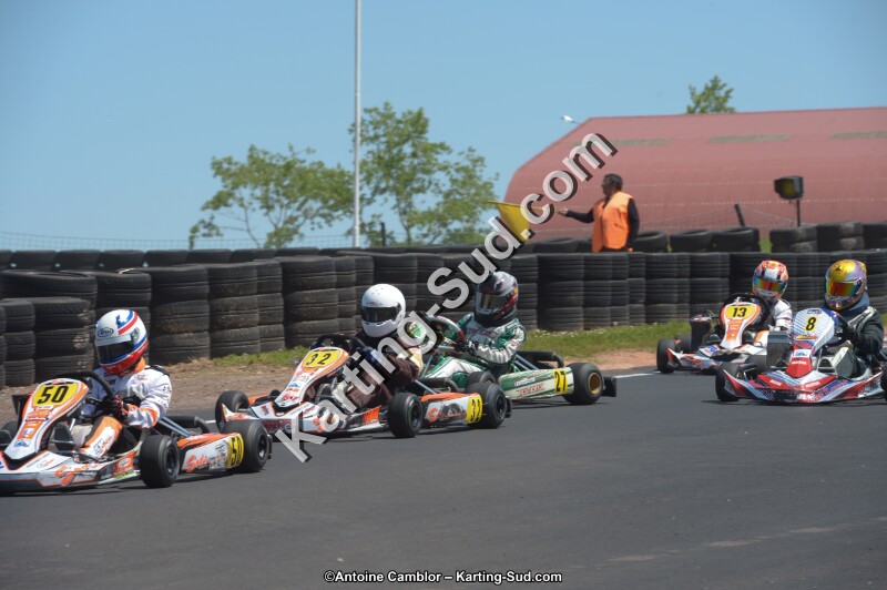 DSC_7444.jpg