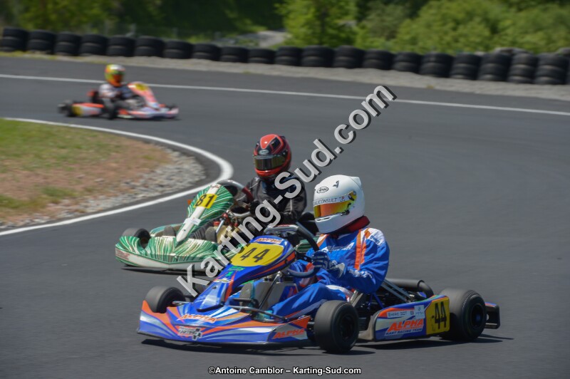 DSC_7451.jpg
